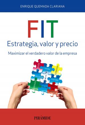 Cover of the book FIT. Estrategia, valor y precio by Pedro Bermejo, Luis García