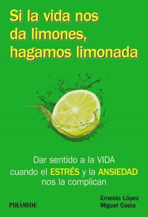 Cover of the book Si la vida nos da limones, hagamos limonada by Rafael M. López Pérez, Fernando Gordillo León, Marta Grau Olivares