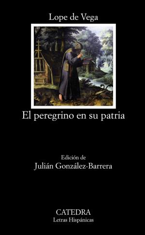 Cover of the book El peregrino en su patria by Eduardo de Bustos Guadaño