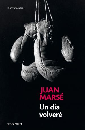 Cover of the book Un día volveré by Megan McDonald