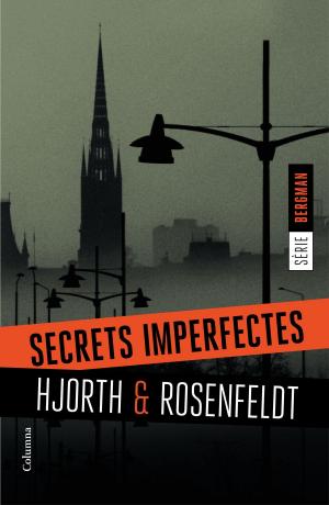 Cover of the book Secrets imperfectes by Geronimo Stilton