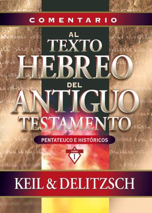 Book cover of Comentario al texto hebreo del Antiguo Testamento