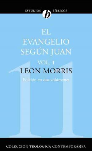 Cover of the book El evangelio según Juan by Samuel Vila