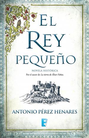 Cover of the book El rey pequeño by Esteban Navarro