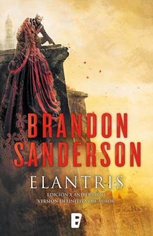Cover of the book Elantris (edición décimo aniversario: versión definitiva del autor) by T.B. Schmid, R.Wade Hodges