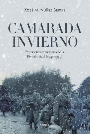 Cover of the book Camarada invierno by Juan Carlos Cubeiro Villar