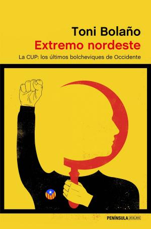Cover of the book Extremo nordeste by María Oruña