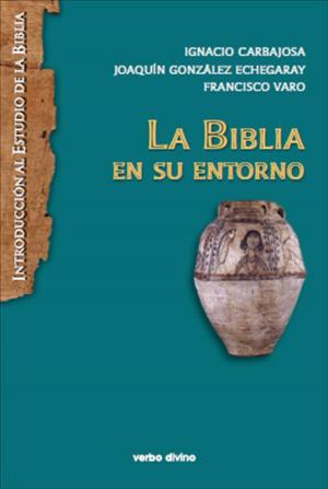 Cover of the book La Biblia en su entorno by Kari Elisabeth Børresen, Emanuela Prinzivalli