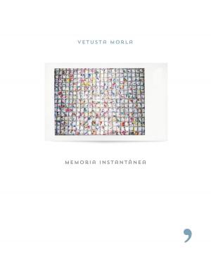 Cover of the book Memoria instantánea by Cristina Prada, Tiaré Pearl