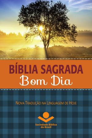 Cover of the book Bíblia Sagrada Bom Dia by Bobbie Wolgemuth, Arno Bessel, Rui Gilberto Staats, Sociedade Bíblica do Brasil