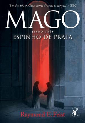 Cover of the book Mago, Espinho de Prata by Micah Sparks, Nicholas Sparks