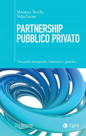 Cover of the book Partnership Pubblico Privato by Maurizio Dallocchio, Raul-Angelo Papotti, Luca Pieroni
