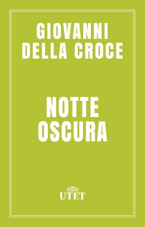 Cover of the book Notte oscura by Benvenuto Cellini