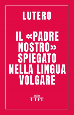 Cover of the book Il «Padre Nostro» spiegato nella lingua volgare by Francesco Guicciardini