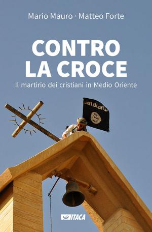Book cover of Contro la croce