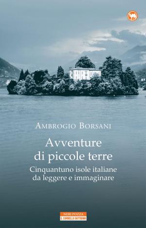 Cover of the book Avventure di piccole terre by Sylvain PERRET