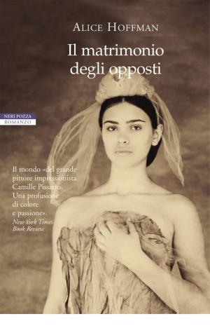 Cover of the book Il matrimonio degli opposti by Tim Johnston