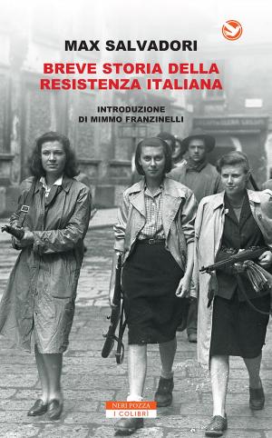 Cover of the book Breve storia della Resistenza Italiana by Jean Teulé