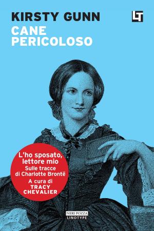 Cover of the book Cane pericoloso by Anita Brookner
