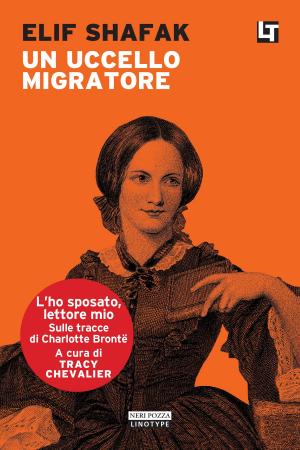 bigCover of the book Un uccello migratore by 