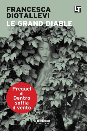 Cover of the book Le Grand Diable by Tracy Chevalier