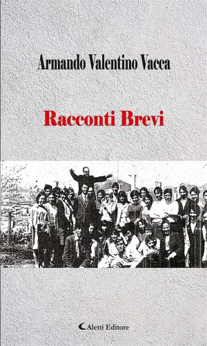Cover of the book Racconti Brevi by Antonio Palladino
