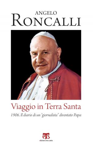 Cover of the book Viaggio in Terra Santa by Riccardo Burigana, Andrea Riccardi