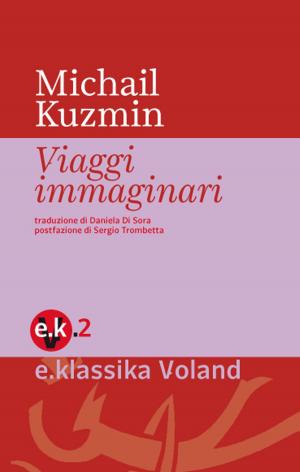 Book cover of Viaggi immaginari