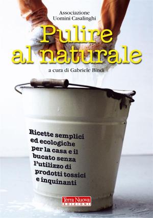 Cover of the book Pulire al naturale by Sergio Segantini, Simona Mezzera, Valerio Selva