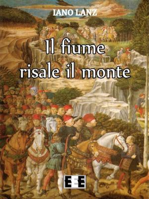 Book cover of Il fiume risale il monte
