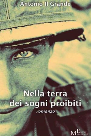 Cover of the book Nella terra dei sogni proibiti by Giovanna Maria Russo