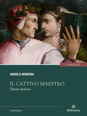Cover of the book Il Cattivo Maestro by Kandy Caine