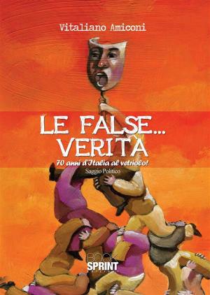 Cover of the book Le false...verità by Stefano Weisz