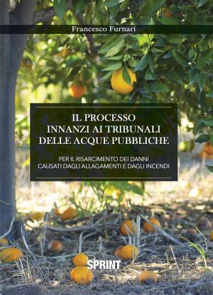 Cover of the book Il processo innanzi ai tribunali delle acque pubbliche by Allen Peters