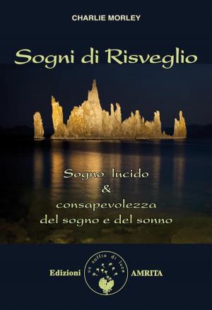 Book cover of Sogni di risveglio