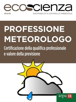 Cover of Professione meteorologo