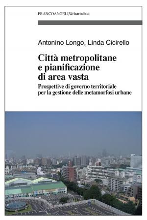 Cover of the book Città metropolitane e pianificazione di area vasta. Prospettive di governo territoriale per la gestione delle metamorfosi urbane by Stefano Sacchi