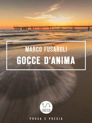 Cover of the book Gocce d'anima by Ryan Lessard