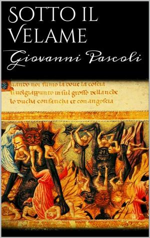 Book cover of Sotto il velame