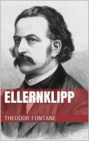 Cover of the book Ellernklipp by Edgar Allan Poe