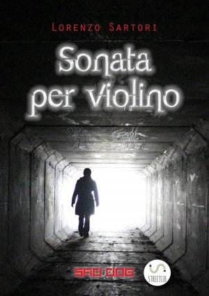Book cover of Sonata per violino