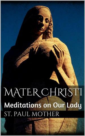 Cover of the book Mater Christi: Meditations on Our Lady by Schimonach Ilarion