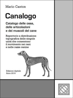 Cover of the book Canalogo by Mario Canton