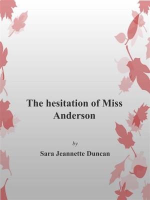 Book cover of The Hesitation of Miss Anderson