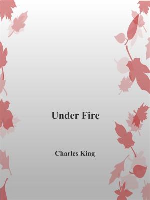 Cover of the book Under Fire by Stacey Lynn