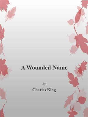 Book cover of A Wounded Name