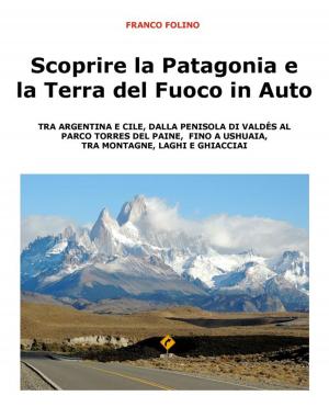 Cover of the book Scoprire la Patagonia e la Terra del Fuoco in auto by Cinzia Randazzo