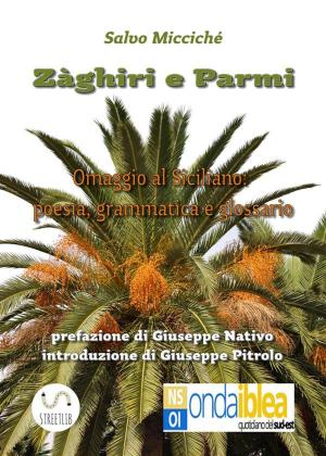 bigCover of the book Zàghiri e Parmi by 