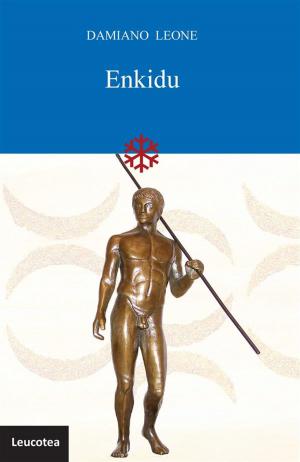 Book cover of Enkidu