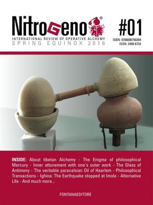 Cover of the book Nitrogeno 01 by Vincenzo Pane Bansō